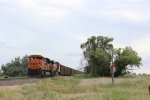 BNSF 8564